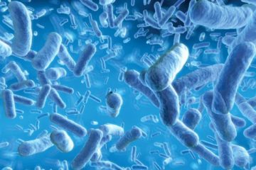 Ưu điểm của men vi sinh bào tử lợi khuẩn so với men vi sinh thường – Giáo sư Simon Cutting