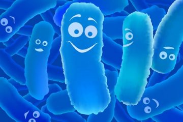 Những dòng men vi sinh thực sự là bào tử lợi khuẩn trên thị trường hiện nay