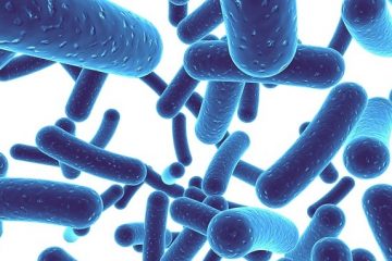 BioSpore Digeszol – Men vi sinh bào tử lợi khuẩn – Nguyên liệu từ Anh quốc