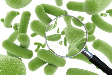 Phân biệt lợi khuẩn và bào tử lợi khuẩn